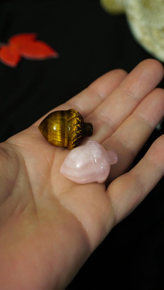Hand holding a tiger's eye crystal and a pink rose quartz crystal against a dark background