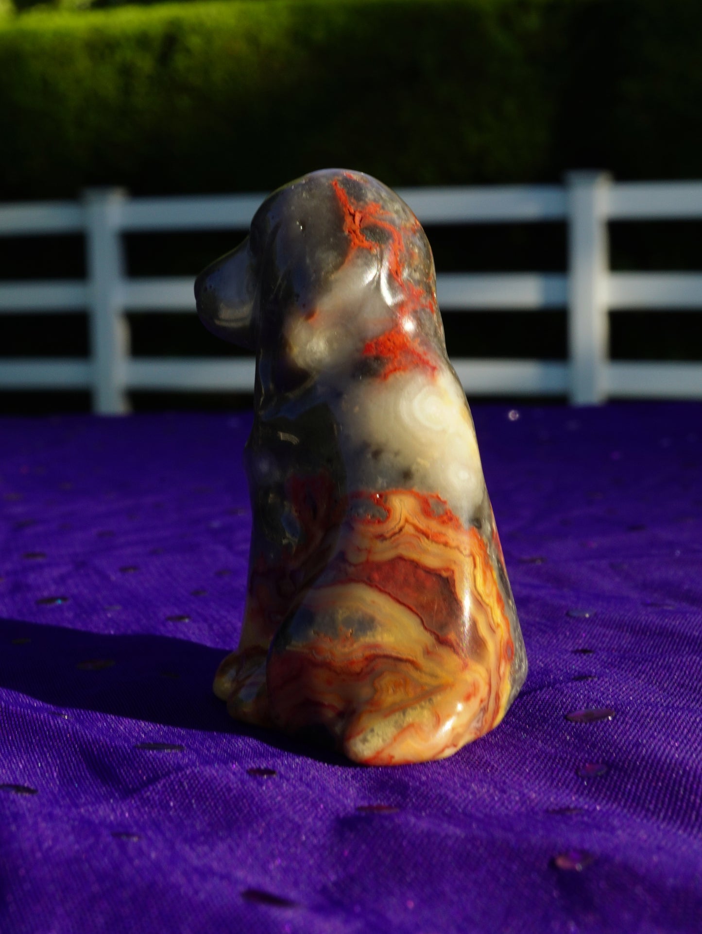 Carved Crystal Dog Figurine • Flame Crazy Lace Agate