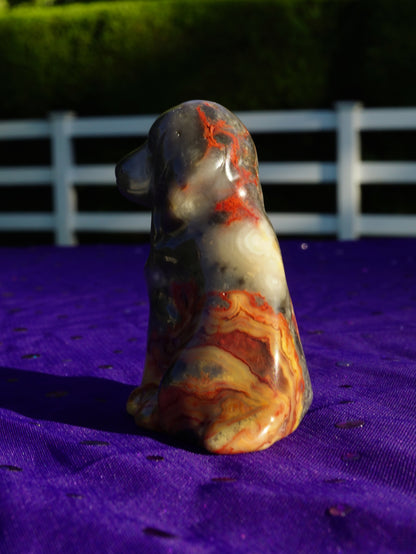 Carved Crystal Dog Figurine • Flame Crazy Lace Agate