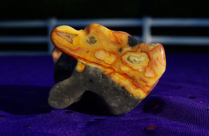 Carved Crystal Dog Figurine • Flame Crazy Lace Agate