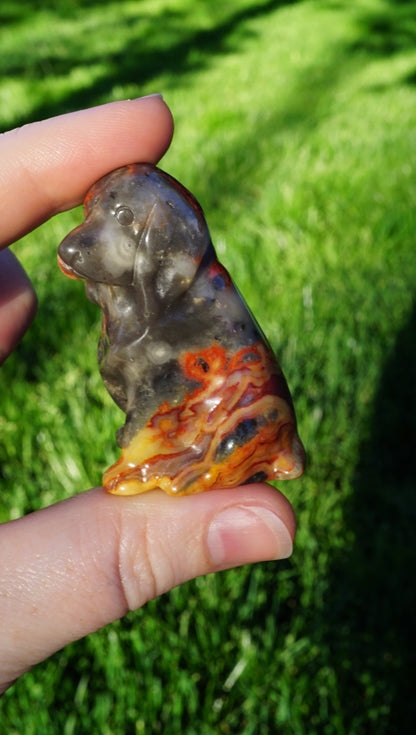 Carved Crystal Dog Figurine • Flame Crazy Lace Agate