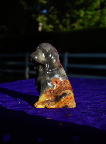 Carved Crystal Dog Figurine • Flame Crazy Lace Agate