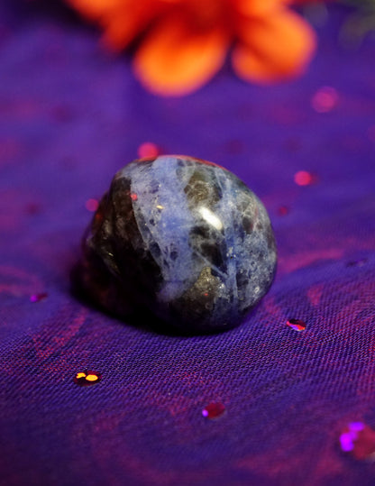 Crystal Gift Set | Tiger's Eye Cat, Opalite Dog, Dream Amethyst Man, Green Dot Jasper Mushroom, Red Jasper Moon, Black & Blue Skull