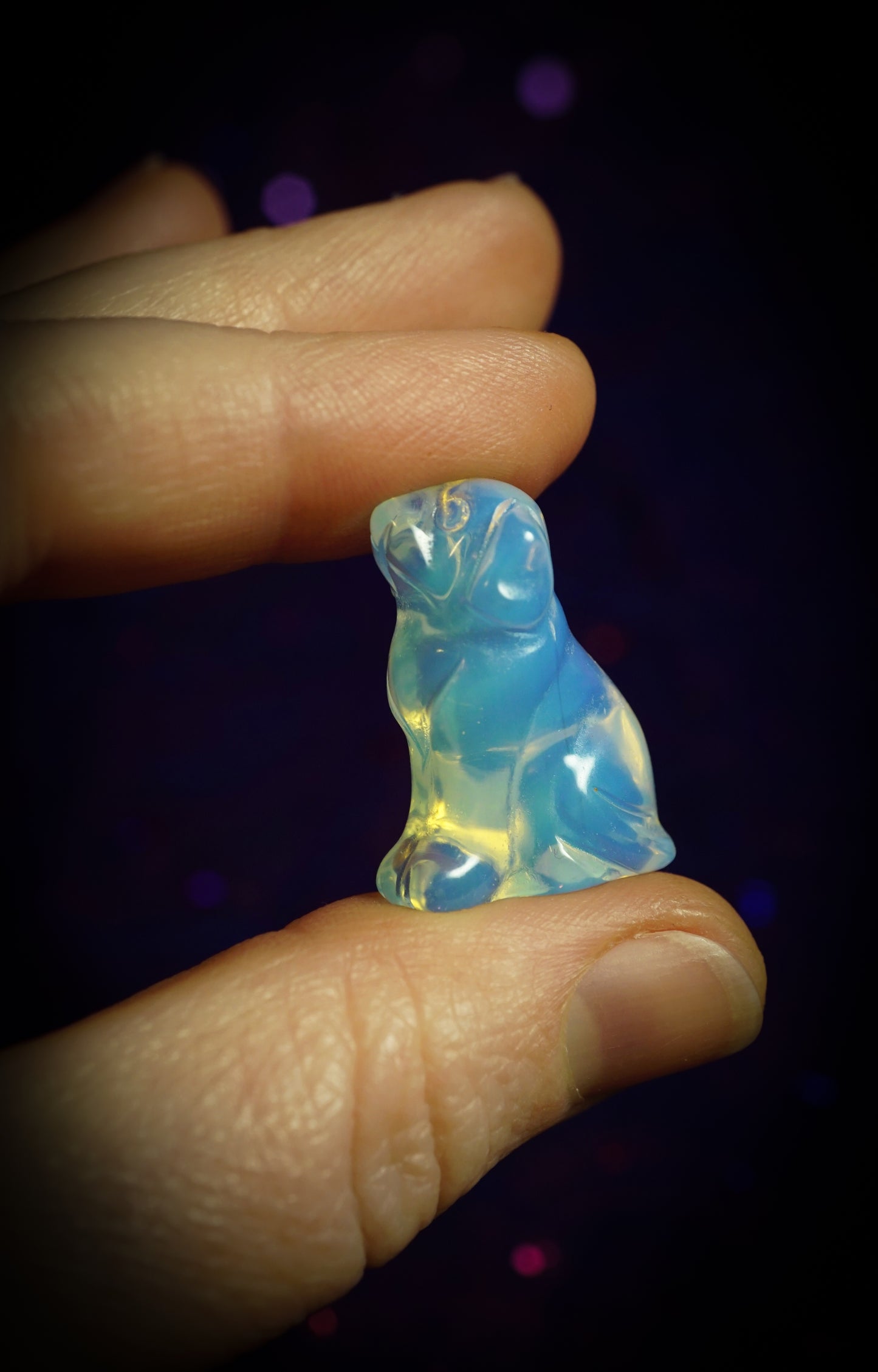 Crystal Gift Set | Tiger's Eye Cat, Opalite Dog, Dream Amethyst Man, Green Dot Jasper Mushroom, Red Jasper Moon, Black & Blue Skull