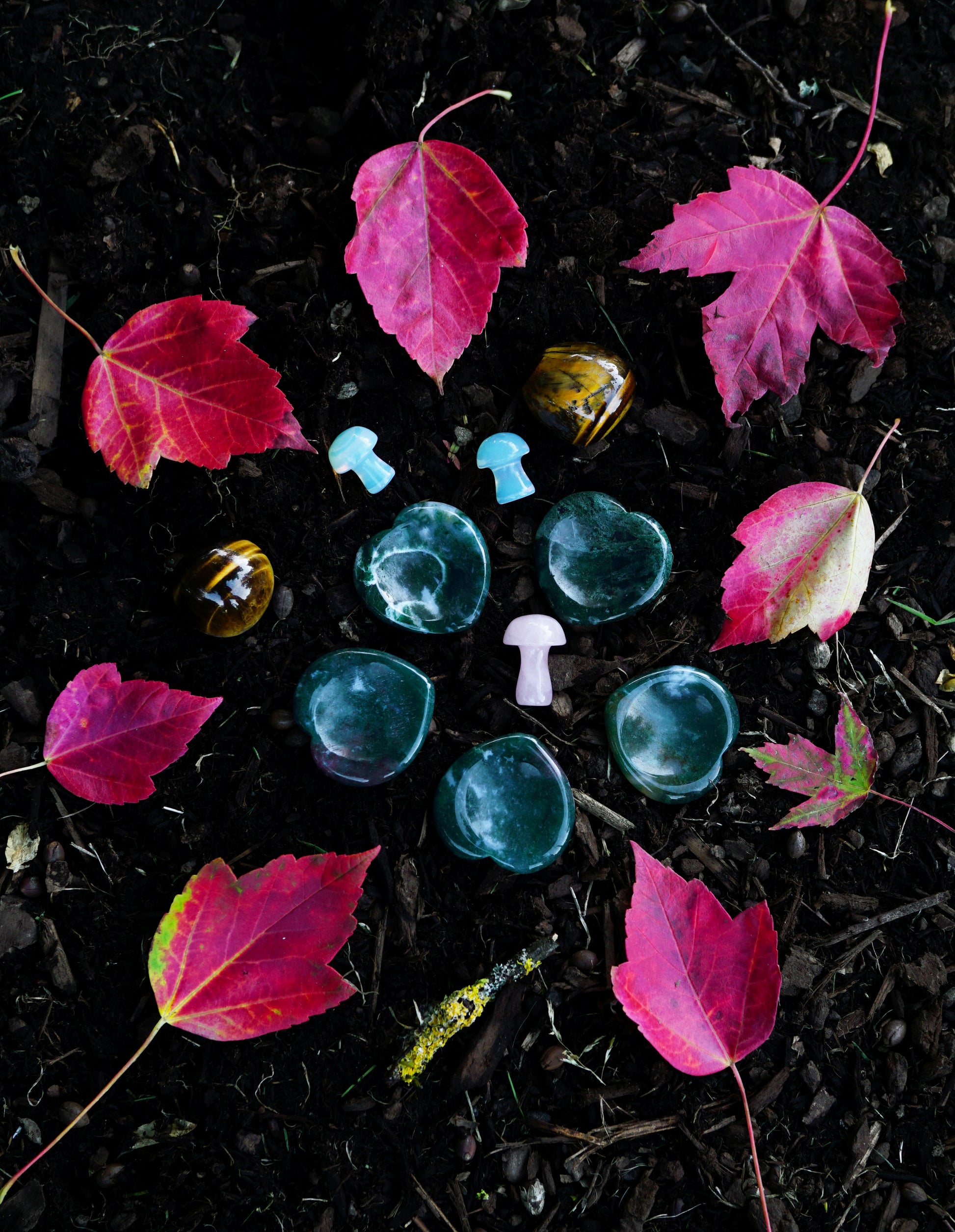 group of green heart stones against dark brown dirt with bright red fall leaves around